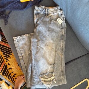 PacSun Casey Lowrise Baggy Jeans 29